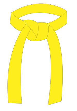 Yellow Belt | AV Taekwondo